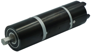 Motor de engrenagem planet&aacute;ria sem escova 24V de 44 mm com design IPM para controle de movimento OEM
