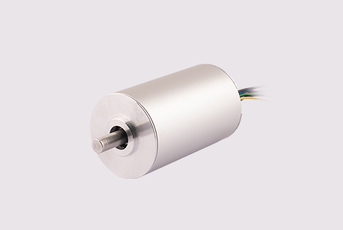 36mm Slotless Brushless Motors